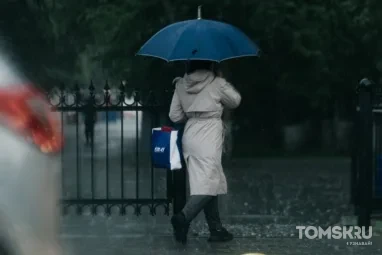 Конец лета с осенним отливом: дожди и хмурая погода ожидают томичей в последней декаде августа