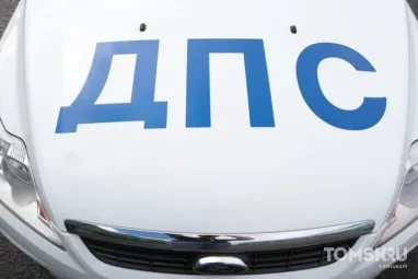 На трассе под Томском грузовик сбил медведицу