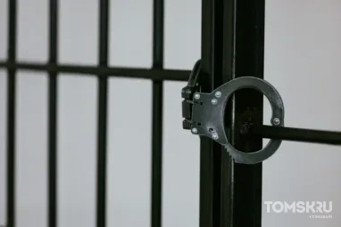 Томича осудили на 10,5 лет за сбыт наркотиков