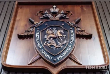 Прокуратура и СК проверяют ДТП со скорой помощью в Томске