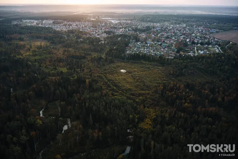Редакция Tomsk.ru поднялась в небо: фоторепортаж с фестиваля воздушных шаров «ВВЕРХ»