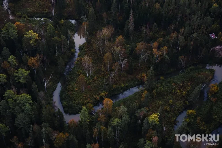 Редакция Tomsk.ru поднялась в небо: фоторепортаж с фестиваля воздушных шаров «ВВЕРХ»