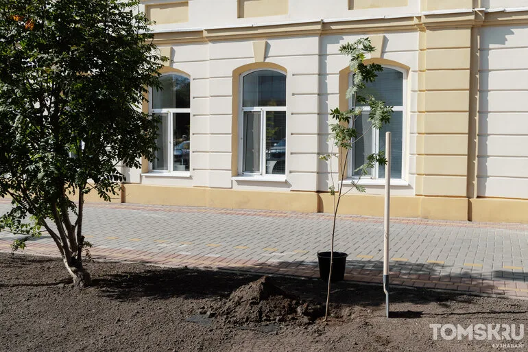 В центре Томска разбили рябиновую Аллею финансистов