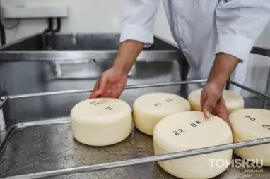 В Голландскую деревню под Томском запустили гастрономические туры
