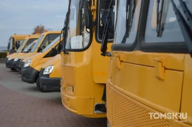 «ПАЗик» с 20 пассажирами съехал в кювет на трассе в Томской области