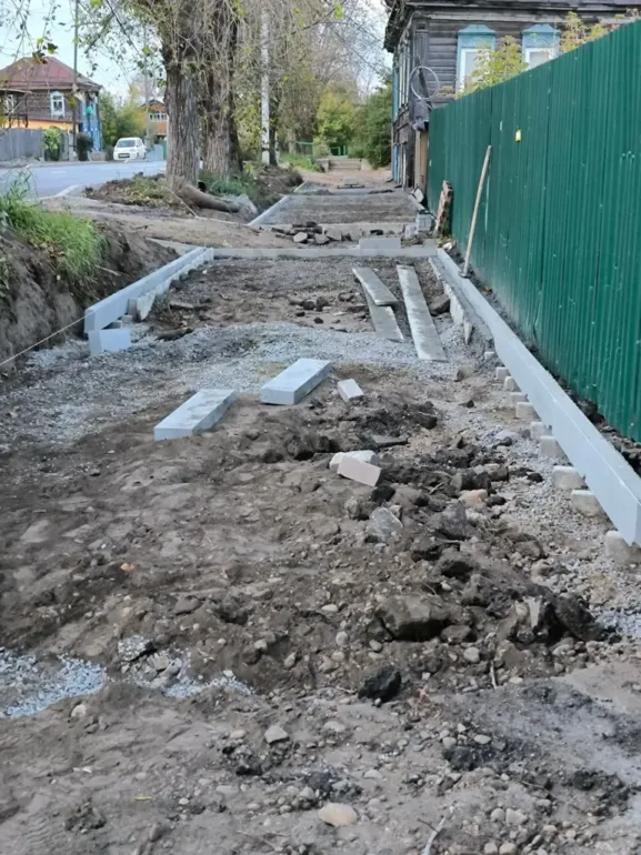 Глава томского ВООПИиК объявила голодовку из-за угрозы старинным домам