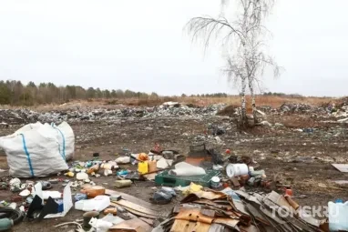 Бастрыкин взял на контроль свалку под Томском