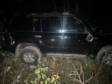 Водитель Land Cruiser вылетел в кювет из-за гулявшего медведя в Томской области
