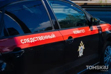 Директора томской фирмы обвинили в уклонении от налогов на 390 млн рублей