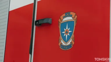 Два теленка погибли в пожаре в селе под Томском