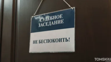 Водителя, сбившего насмерть 8-летнего мальчика, томский суд отправил в колонию