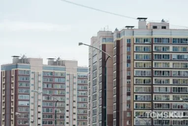 ТГАСУ получил патент на новый негорючий утеплитель для строительства